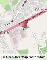 Trasporti Internazionali Altavilla Vicentina,36077Vicenza