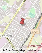 Viale Pietro Ceccato, 71,36075Montecchio Maggiore