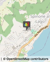 Alimentari Spinone al Lago,24060Bergamo