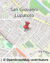 Fisiokinesiterapia - Medici Specialisti San Giovanni Lupatoto,37057Verona