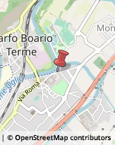 Piante e Fiori - Dettaglio Darfo Boario Terme,25047Brescia