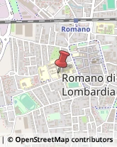 Aziende Sanitarie Locali (ASL) Romano di Lombardia,24058Bergamo