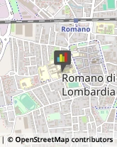 Aziende Sanitarie Locali (ASL) Romano di Lombardia,24058Bergamo