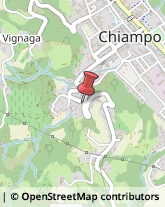 Imprese Edili Chiampo,36072Vicenza