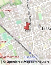 Consulenza alle Imprese e agli Enti Pubblici Lissone,20851Monza e Brianza