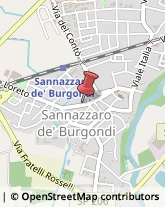 Farmacie Sannazzaro de' Burgondi,27039Pavia