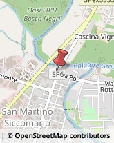 Piante e Fiori - Dettaglio San Martino Siccomario,27028Pavia