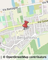 Scuole Materne Private Bergantino,45032Rovigo