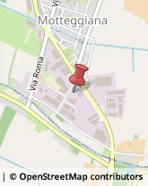 Falegnami Motteggiana,46020Mantova