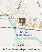 Poste Gorgo al Monticano,31040Treviso