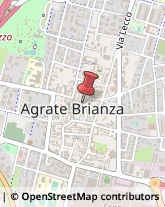 Piante e Fiori - Dettaglio Agrate Brianza,20864Monza e Brianza