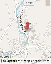 Prosciuttifici e Salumifici - Produzione Costa di Rovigo,45023Rovigo