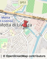 Assicurazioni Motta di Livenza,31045Treviso