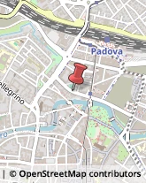 Partiti e Movimenti Politici Padova,35121Padova
