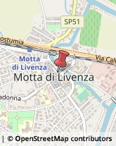 Otorinolaringoiatria - Medici Specialisti Motta di Livenza,31045Treviso