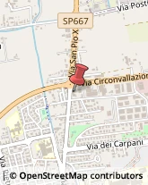 Assicurazioni,31033Treviso