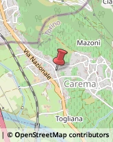 Case di Riposo e Istituti di Ricovero per Anziani Carema,10010Torino