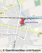 Consulenze Speciali Crescentino,13044Vercelli