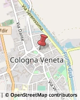 Angiologia - Medici Specialisti Cologna Veneta,37044Verona