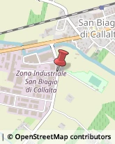 Giardinaggio - Macchine ed Attrezzature San Biagio di Callalta,31048Treviso