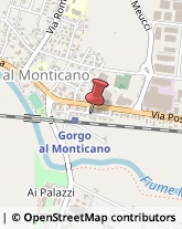 Autofficine e Centri Assistenza Gorgo al Monticano,31040Treviso