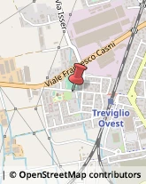 Carte Geografiche, Nautiche e Topografiche Treviglio,24047Bergamo