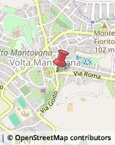 Consulenza Commerciale,46049Mantova