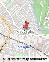 Notai Coccaglio,25030Brescia