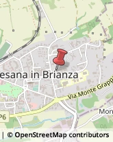 Massaggi Besana in Brianza,20842Monza e Brianza