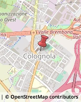 Psicologi Bergamo,24126Bergamo