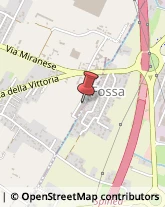 Consulenze Speciali,30035Venezia