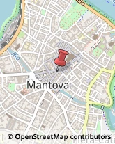 Articoli per Ortopedia Mantova,46100Mantova