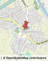 Piante e Fiori - Dettaglio Vigonovo,30030Venezia