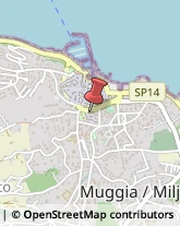 Ingranaggi Muggia,34015Trieste