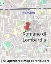 Pedagogia - Studi e Centri Romano di Lombardia,24058Bergamo