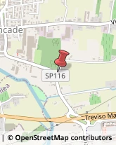 Demolizioni e Scavi,31056Treviso