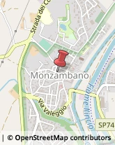 Consulenza Commerciale Monzambano,46040Mantova