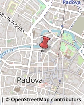 Parrucche e Toupets Padova,35137Padova