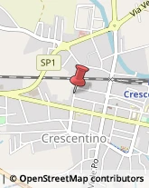 Autotrasporti Crescentino,13044Vercelli