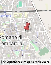 Stazioni di Servizio e Distribuzione Carburanti Romano di Lombardia,24058Bergamo