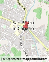 Carte di Credito - Servizi San Pietro in Cariano,37029Verona