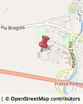 Frutta e Verdura - Dettaglio,45023Rovigo