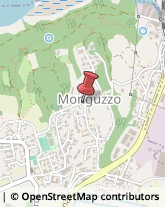 Autotrasporti Monguzzo,22040Como