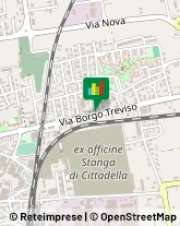 Scuole e Corsi di Lingua Cittadella,35013Padova