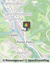 Elettrauto Sant'Omobono Terme,24038Bergamo