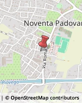 Pollame, Conigli e Selvaggina - Dettaglio Noventa Padovana,35027Padova