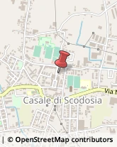 Turismo - Consulenze Casale di Scodosia,35040Padova