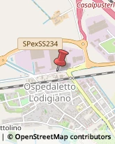 Autofficine e Centri Assistenza Ospedaletto Lodigiano,26841Lodi
