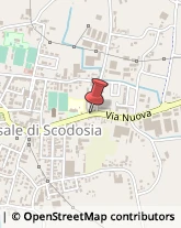 Mobili Casale di Scodosia,35040Padova