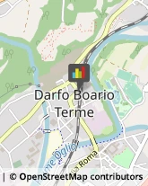 Piante e Fiori - Dettaglio Darfo Boario Terme,25047Brescia